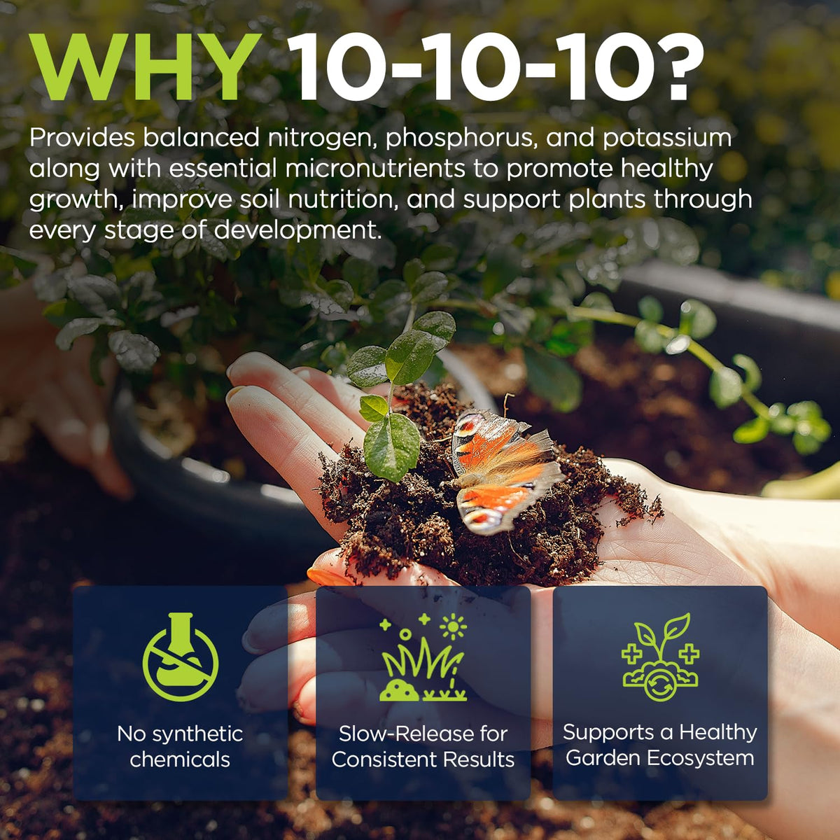 Supply Solutions 10-10-10 Complete Lawn & Garden Granular Fertilizer with Micronutrients – Balanced NPK Plant Food for Soil Health, Blooms & Roots – Safe for Vegetables, Fruits, Lawns (25 Pounds)