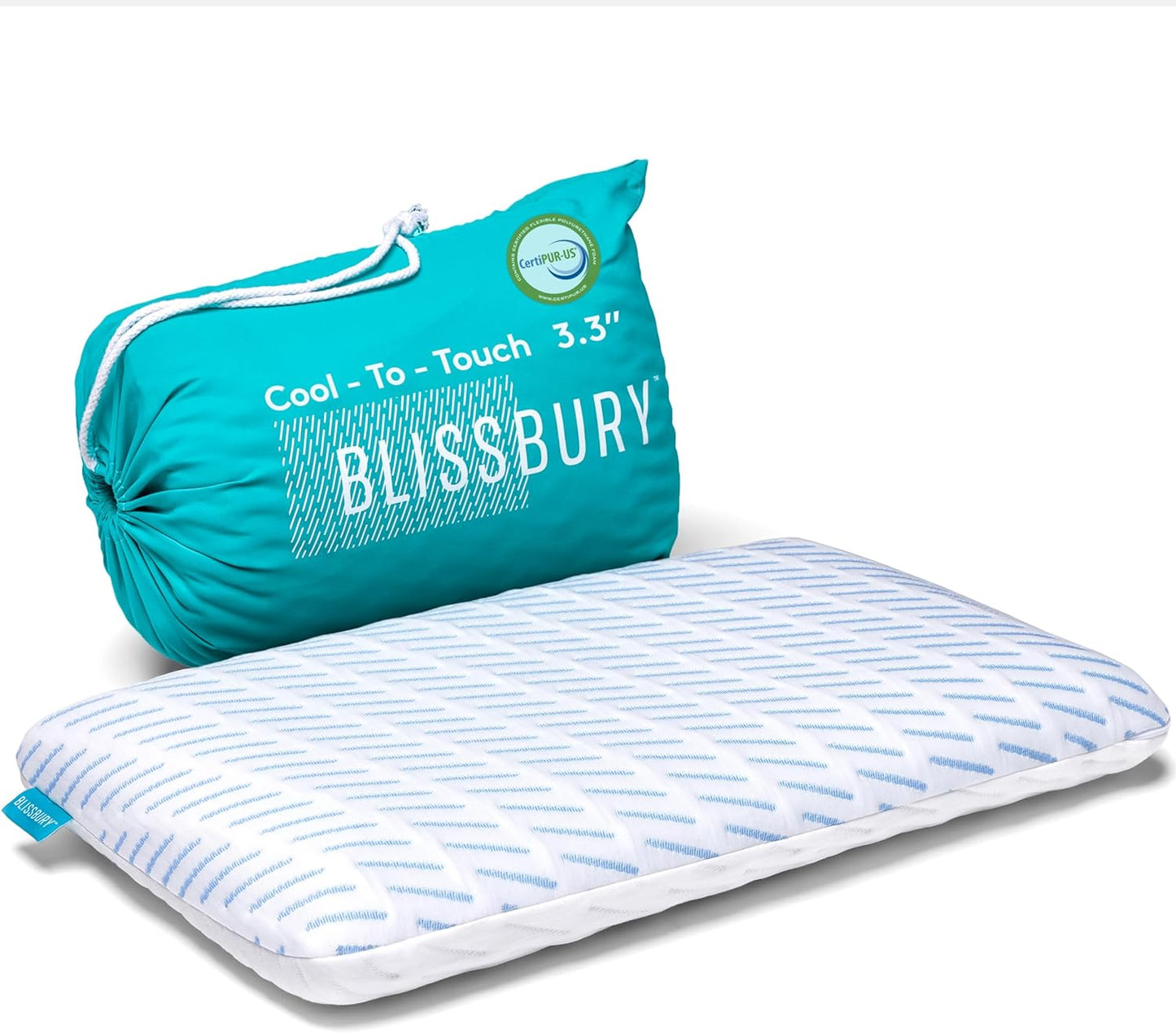 BLISSBURY Stomach Sleeping Pillow – Ultra Thin 2.6" Memory Foam for Neck and Cervical Support | Flat Pillow for Belly Sleeper | Low Loft Design for Comfort and Better Sleep
