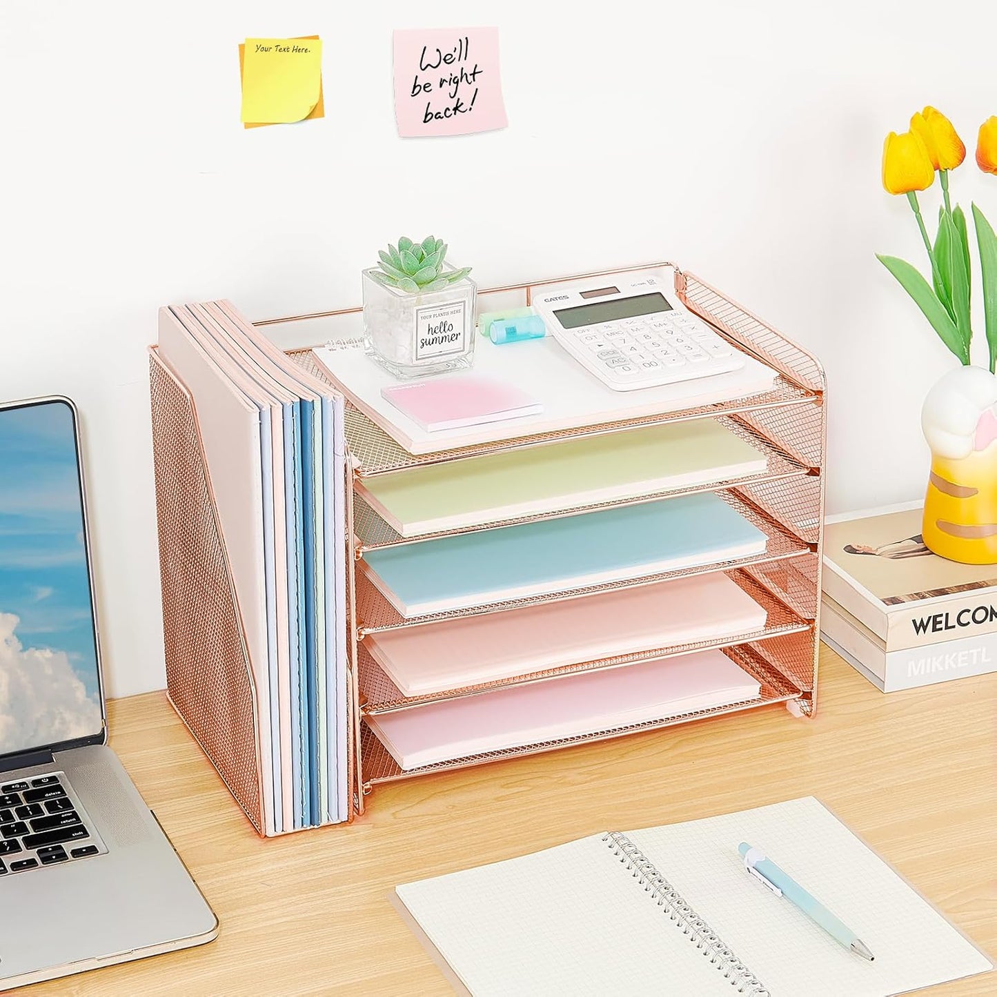 OPNICE Desk Organizer, 5-Tier Paper Organizer Letter Tray with Magazine Holder, Office Desk Accessories & Workspace Organizers, Desktop File Organizer for Office Supplies Storage, Rose Gold