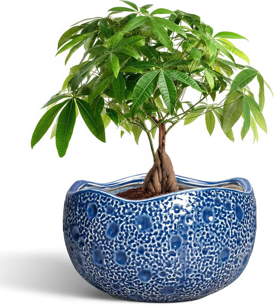 10 Inch Plant Pot, Ceramic Pots for Plants Indoor, Blue