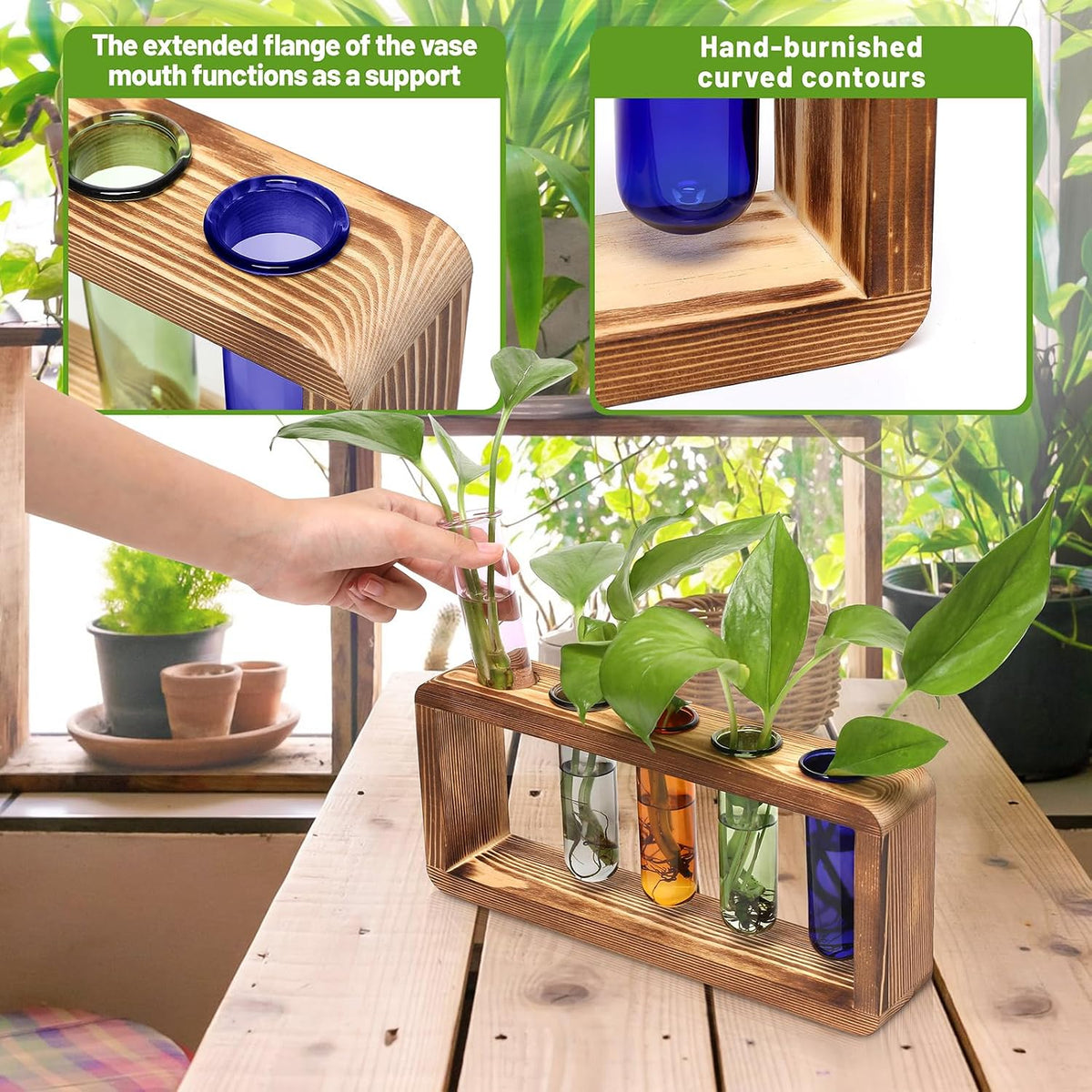 Glass Plant Propagation Station with 5 Test Tubes Colorful Planter Vase