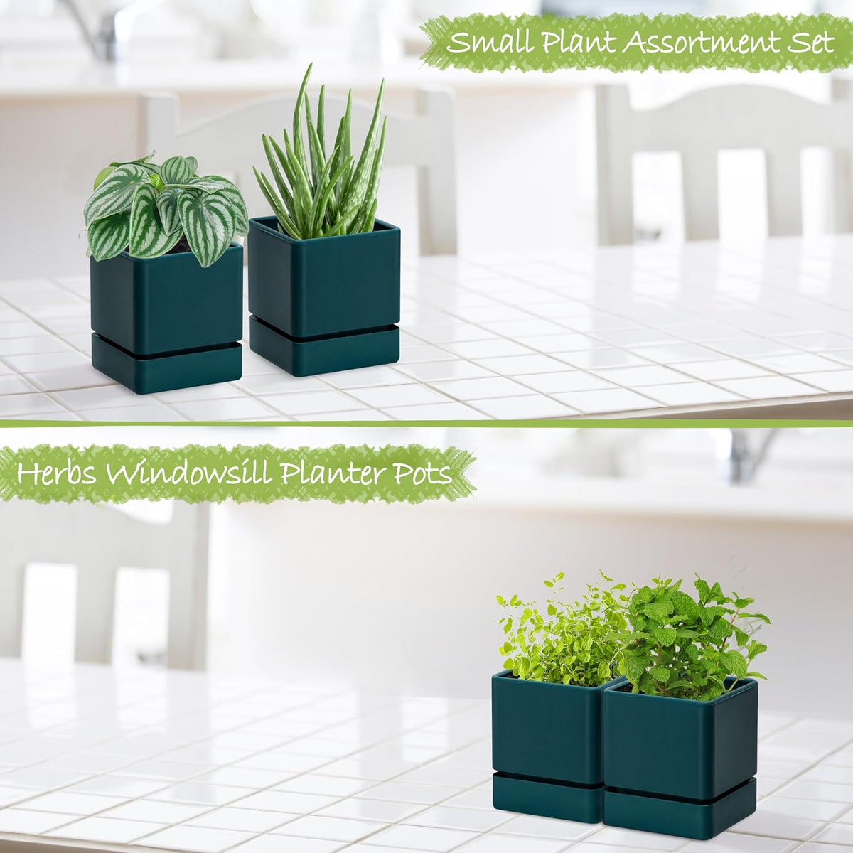 D'vine Dev 2-Pack Plastic Herb Planter Pots, 4 in, Green, 76-Y-C-1