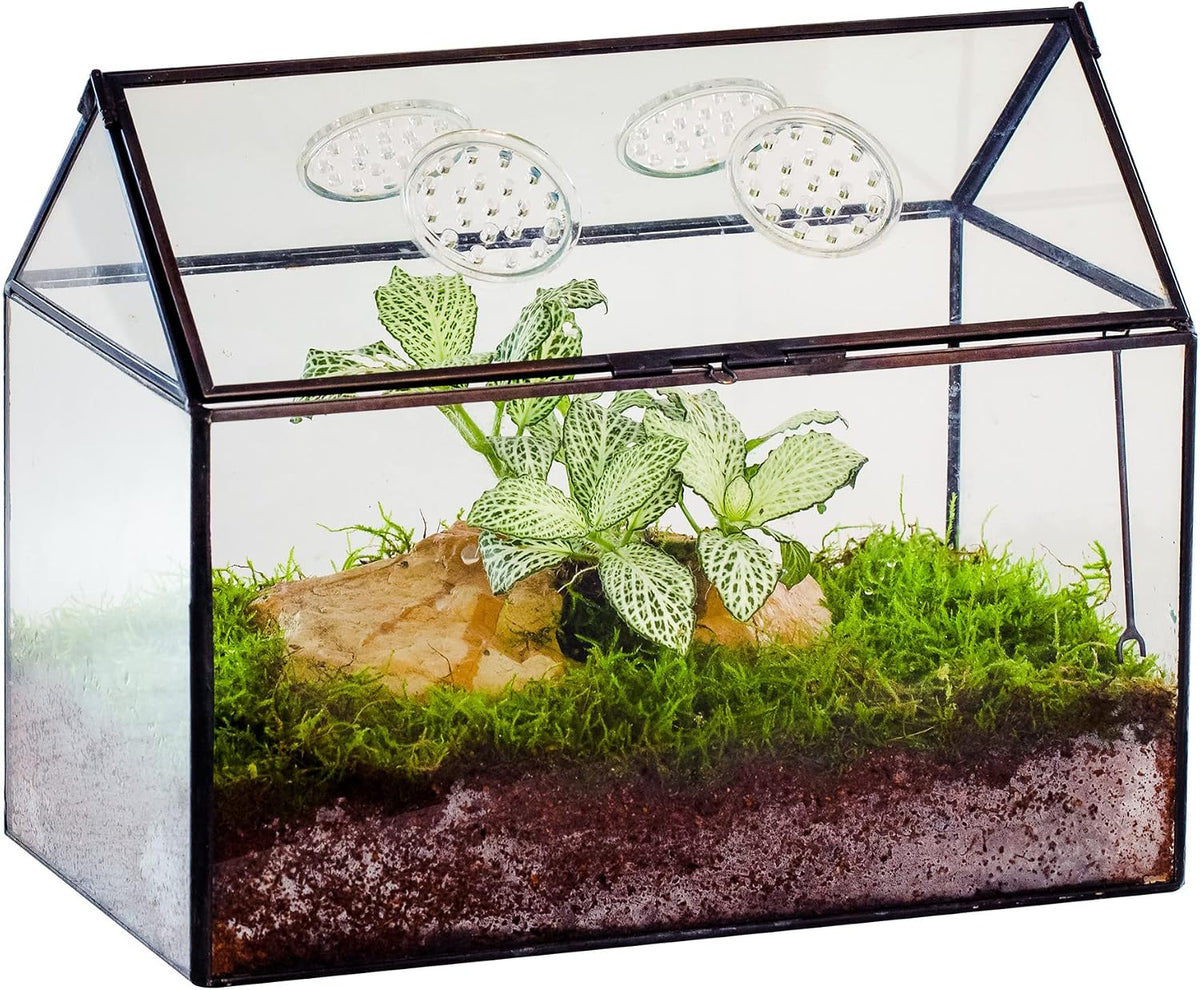 NCYP Glass Terrarium with Lid and Air Holes for Snails - 10.2" x 5.9" x 8.2" House Shape Geometric Clear Terrarium, Indoor Tabletop Decor Black (Plants Not Included)