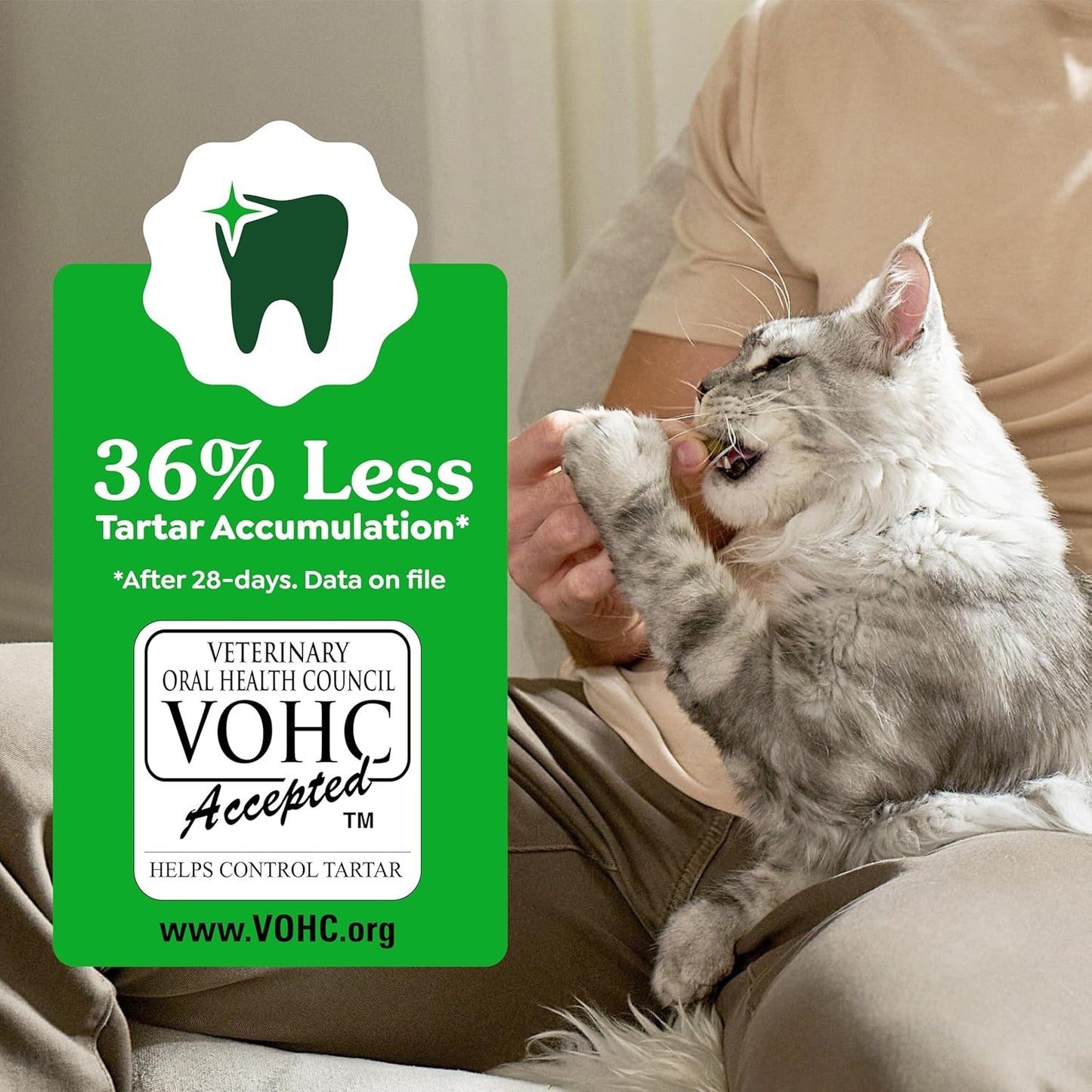 Greenies Cat Treats, Feline Veterinarian-Recommended Adult Natural Dental Treats, Catnip Flavor, 9.75 oz. Tub