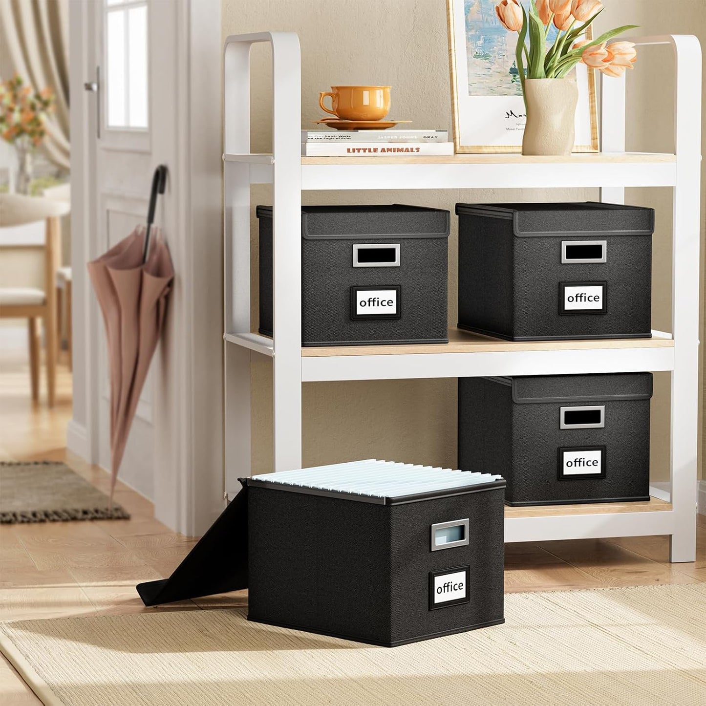 File Organizer Box with Lid, Collapsible File Folder Organizer for Office Document Storage, Filing Box with Plastic Slide for Letter Size Hanging File Folders(1 Pack, Black)