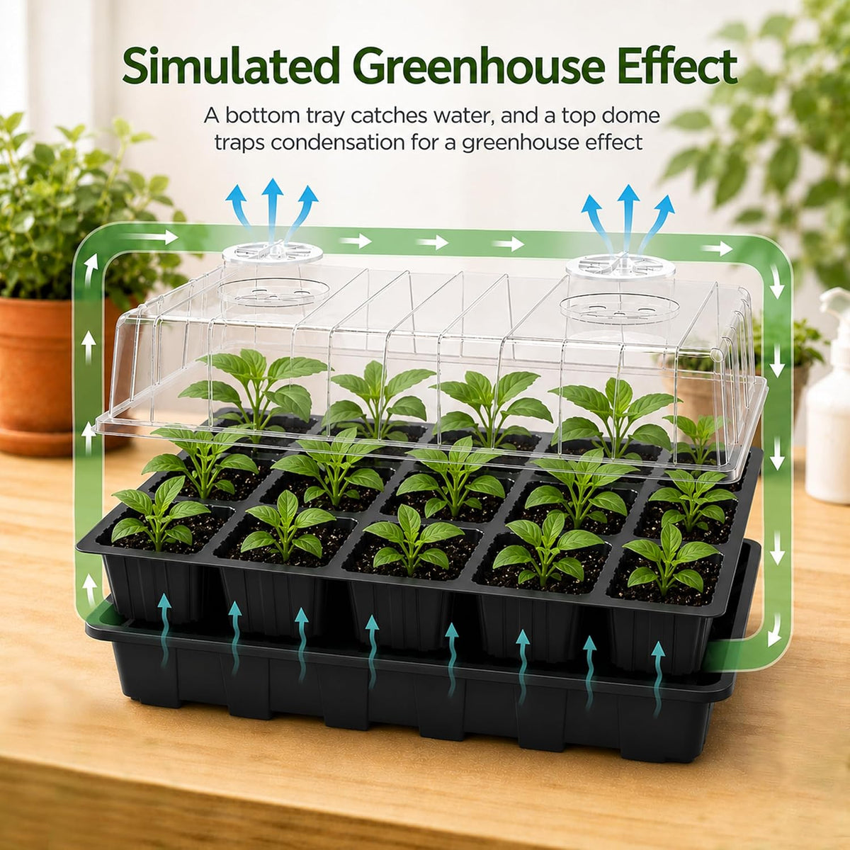 Gardzen 5 Pack Seed Starter Trays with Vented Domes 150 Cell Black