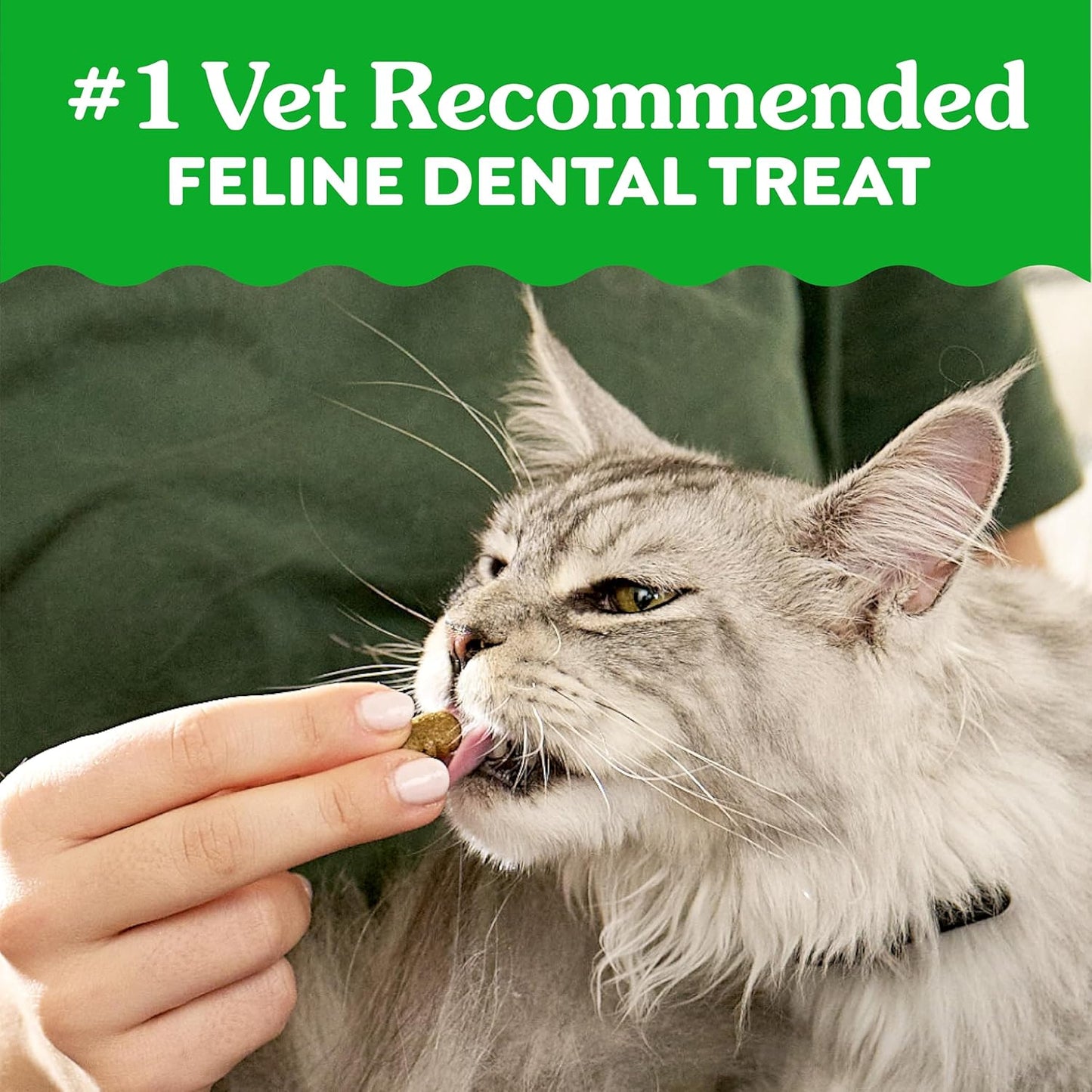 Greenies Cat Treats, Feline Veterinarian-Recommended Adult Natural Dental Treats, Catnip Flavor, 9.75 oz. Tub