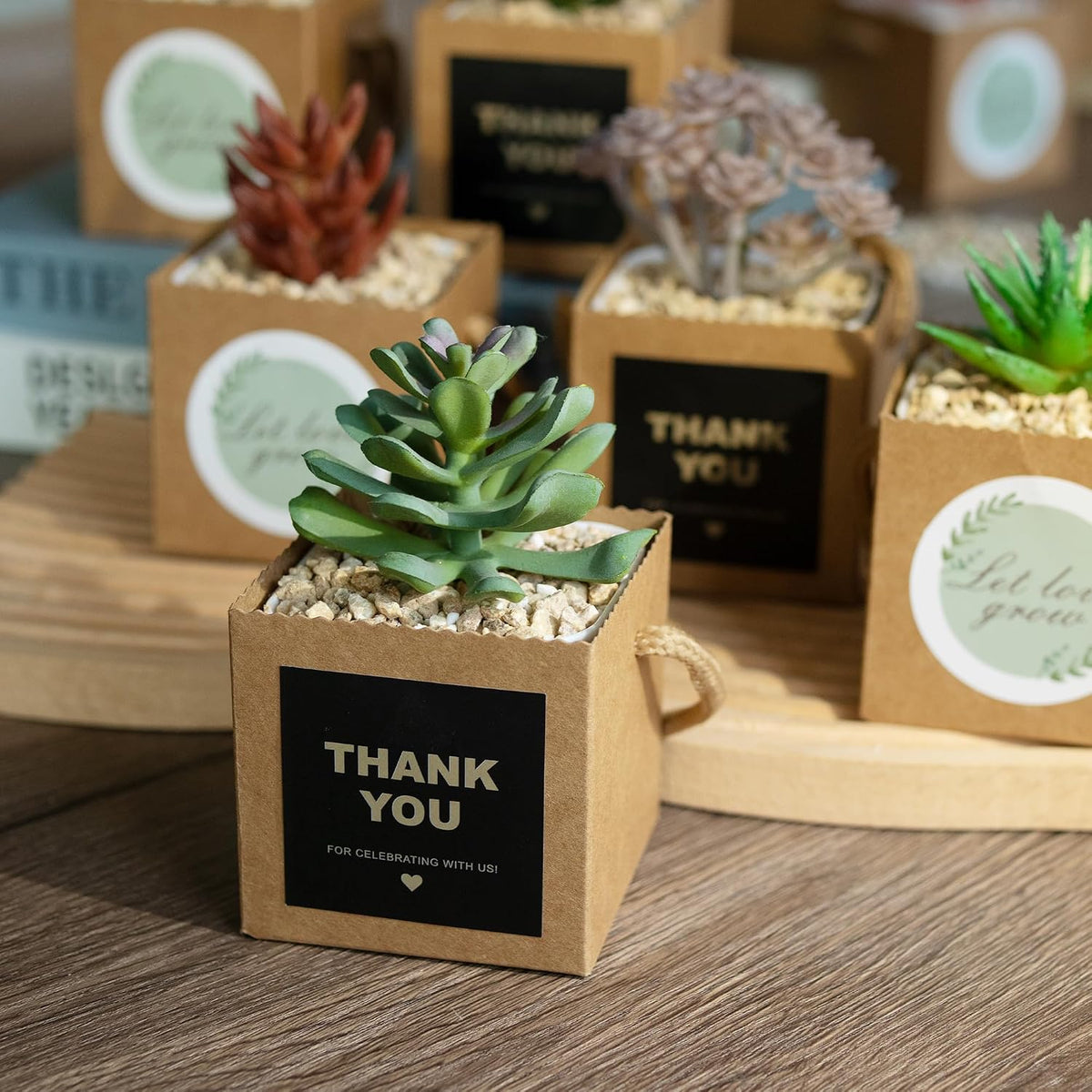 Temlum 2.5 Inch Succulent Wrap Bags (Fits 2.5″ Pots) with Thank You & Let Love Grow Stickers, Small Gift Box for Wedding, Baby Shower, Succulent Party Favors for Guests (Brown 100pcs)