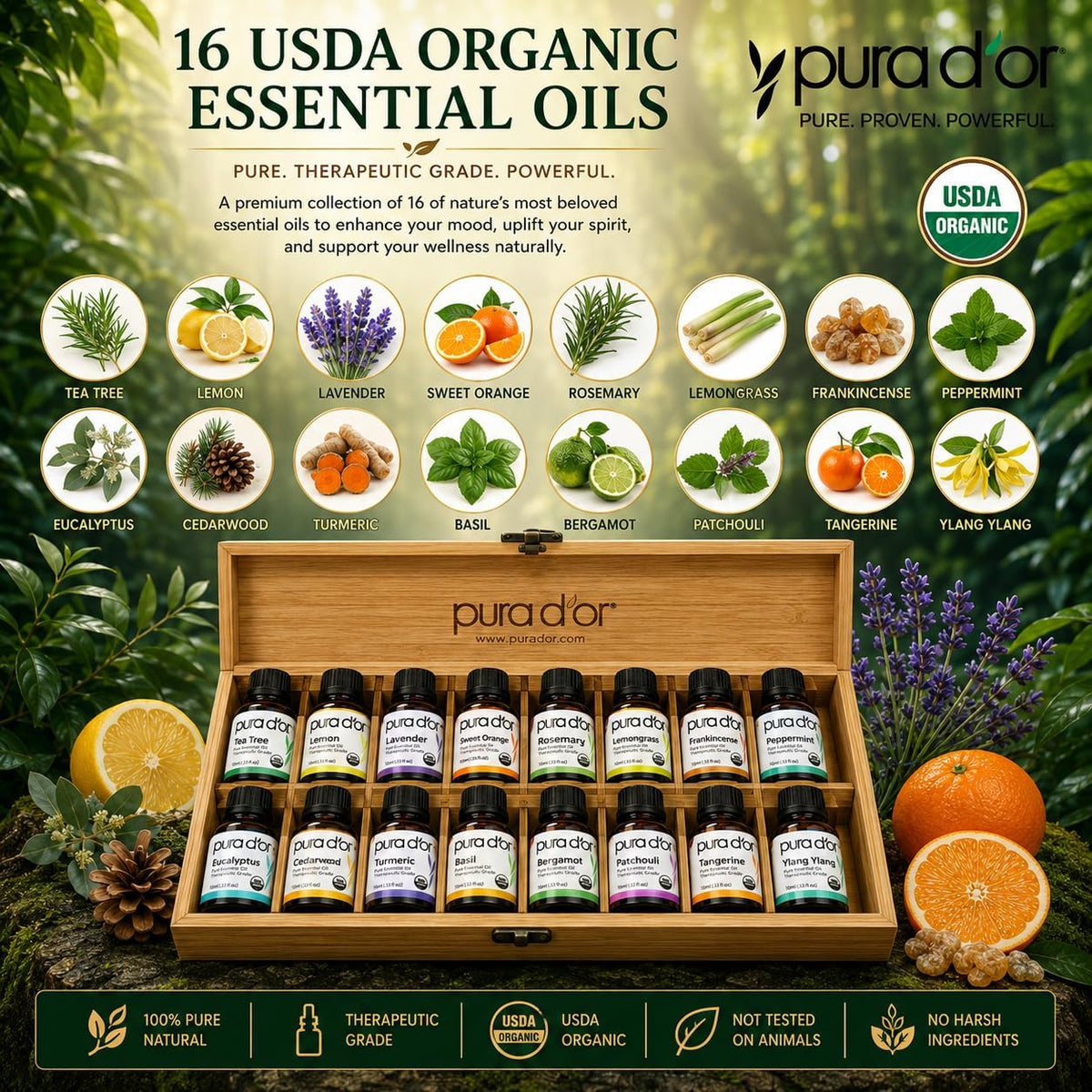 PURA D'OR Organic Sweet16 Essential Oils Aromatherapy Box Set, 10mL x16