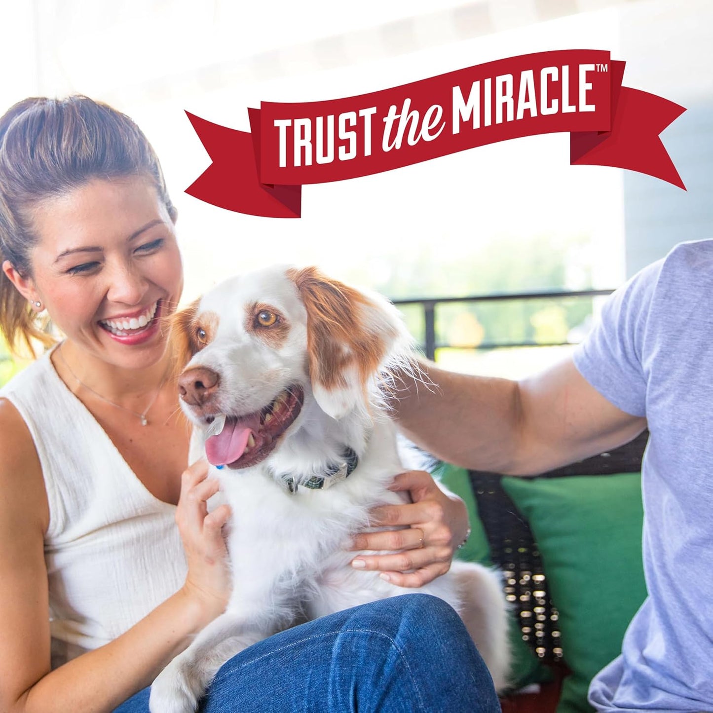 Nature’s Miracle Advanced Stain and Odor Eliminator Dog Spray, Fresh Scent, Severe Mess Enzymatic Formula For Tough Pet Messes, 32 oz