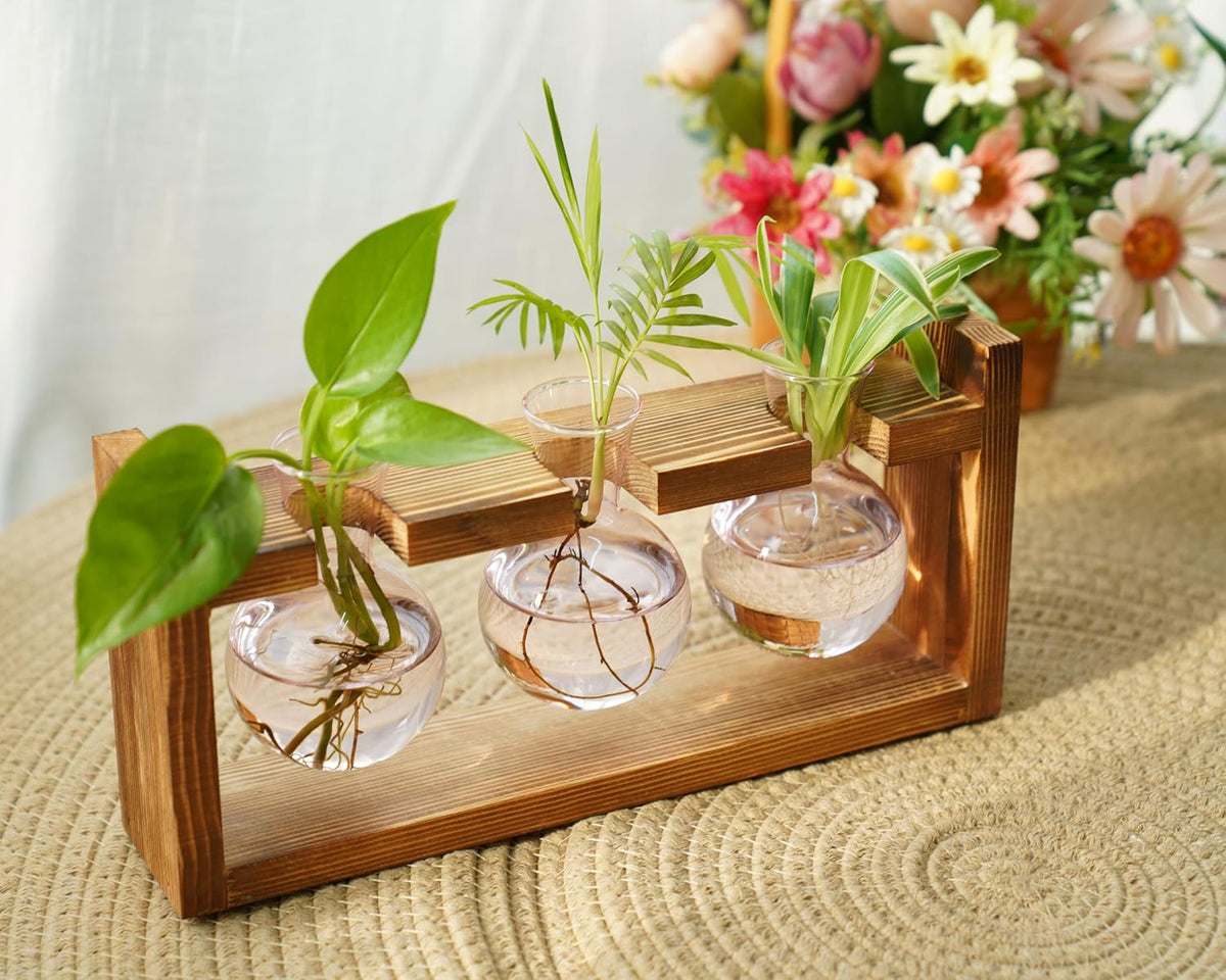 Kingbuy Glass Plant Terrarium Propagation Station, 3 Bulb, Pink | Colored Vases with Retro Wood Stand, Wall Mounted & Desktop, Indoor Garden Planter, Home Kitchen Wedding Decor