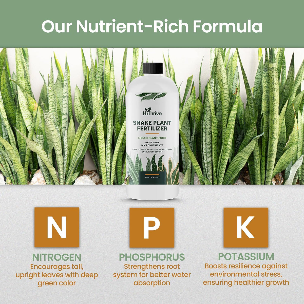 16oz Snake Plant Fertilizer for Snake Plant Live - Makes 96 Gallons of Fertilizer for Indoor Plants, Ideal for Healthy Growth, Strong Leaves, and Vibrant Color - Rich in Macro & Micronutrients