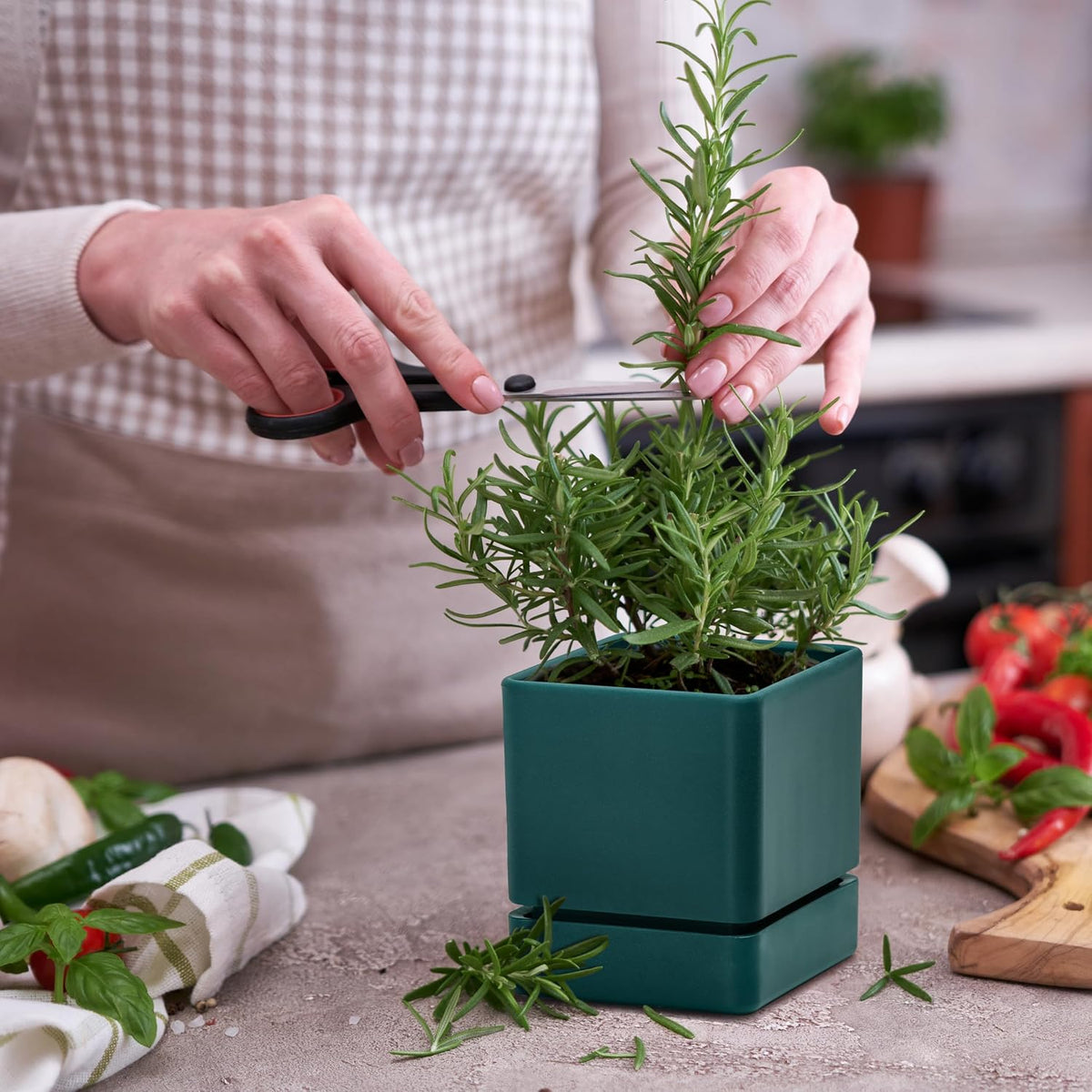 D'vine Dev 2-Pack Plastic Herb Planter Pots, 4 in, Green, 76-Y-C-1