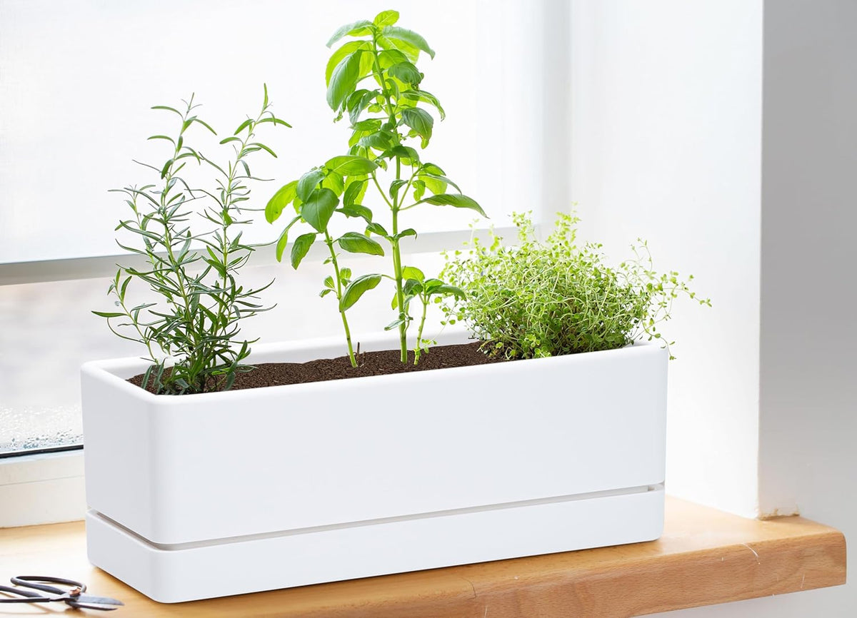 D'vine Dev Rectangular Planter, 12 x 4.5 in, White, Set of 1, 76-X-A-1