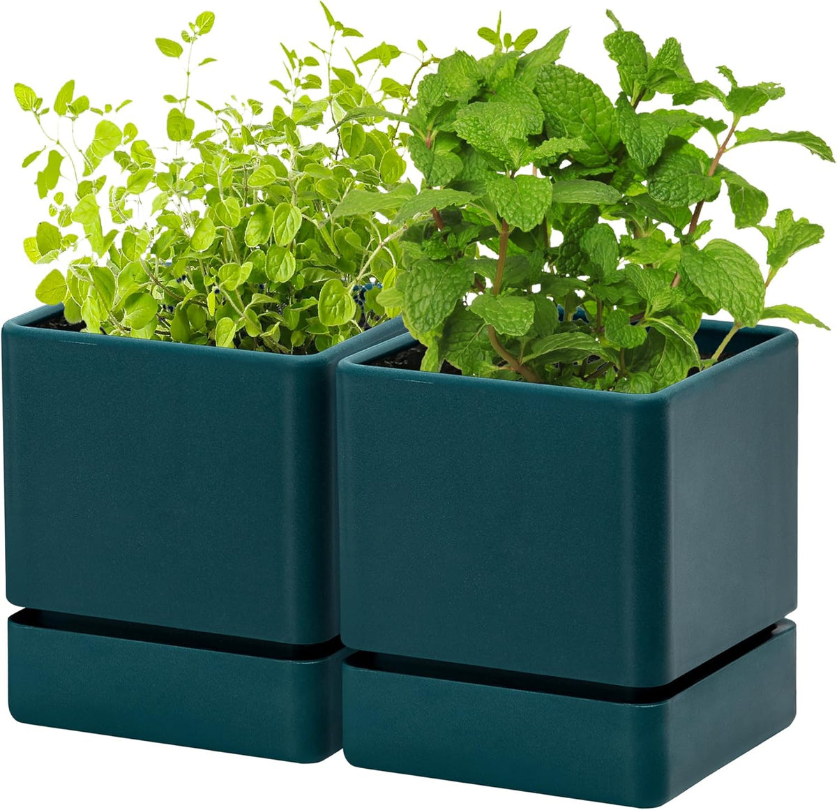 D'vine Dev 2-Pack Plastic Herb Planter Pots, 4 in, Green, 76-Y-C-1