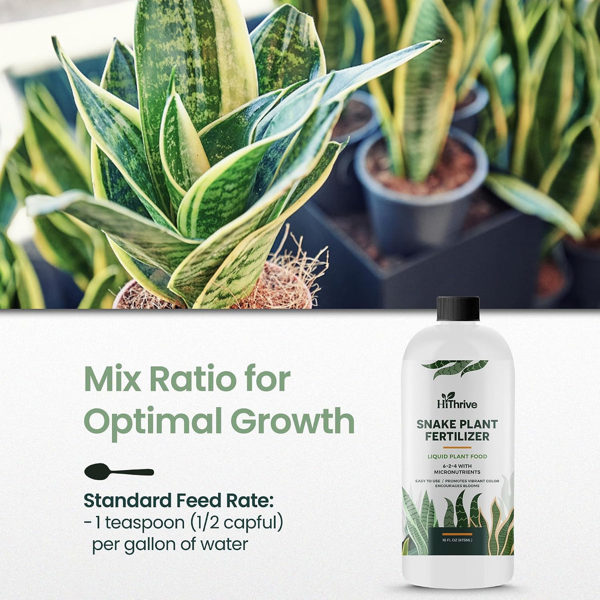 16oz Snake Plant Fertilizer for Snake Plant Live - Makes 96 Gallons of Fertilizer for Indoor Plants, Ideal for Healthy Growth, Strong Leaves, and Vibrant Color - Rich in Macro & Micronutrients