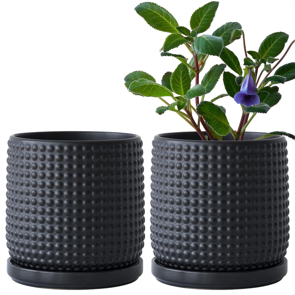 D'vine Dev 2-Pack Beaded Ceramic Pots, 6 in, Light Brown, 27-E-X-4