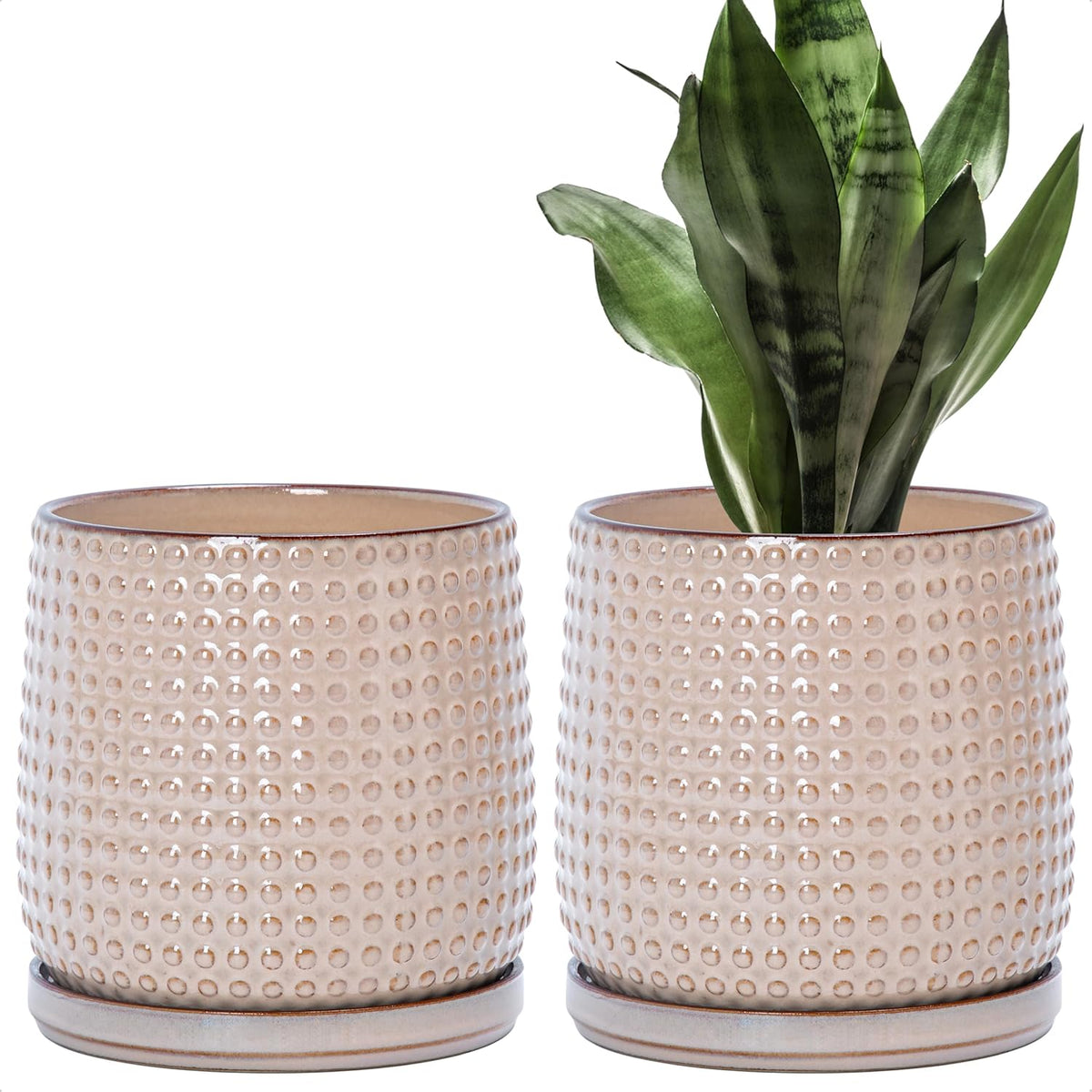 D'vine Dev 2-Pack Beaded Ceramic Pots, 6 in, Light Brown, 27-E-X-4