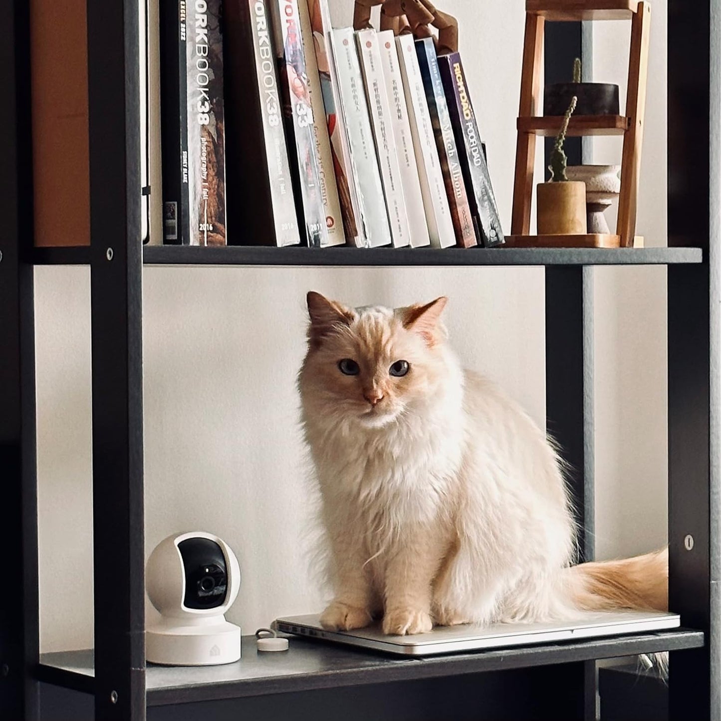 Kasa 2K+ Indoor Pan/Tilt Wired Security Camera - Works as a Baby Monitor & Pet Camera, Motion Detection & Tracking, 2-Way Audio, Night Vision, Subscription-Free Local Storage or Optional Cloud, KC410S
