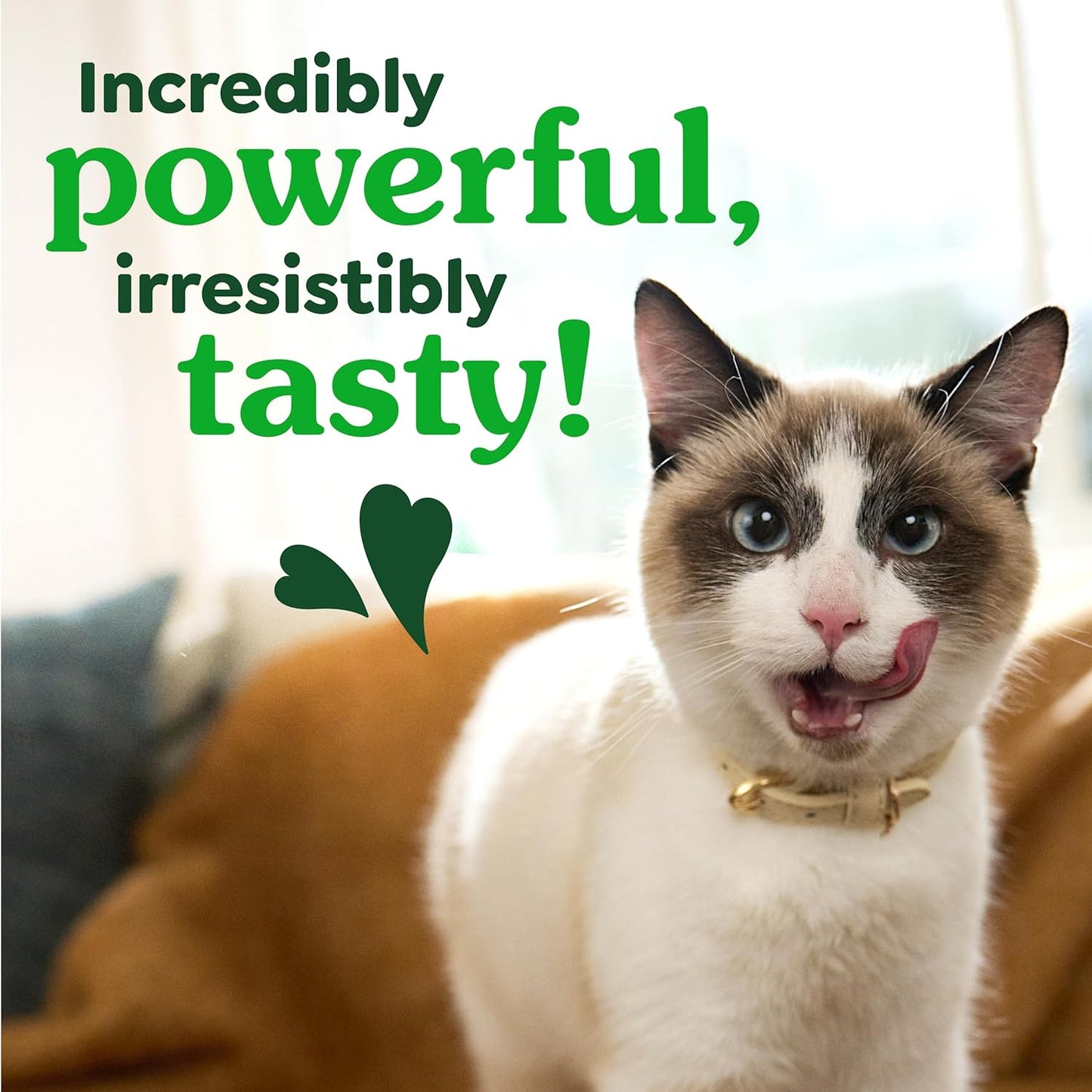 Greenies Cat Treats, Feline Veterinarian-Recommended Adult Natural Dental Treats, Catnip Flavor, 9.75 oz. Tub