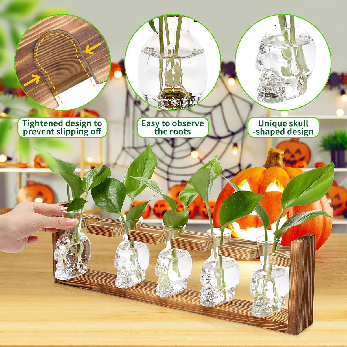 Plant Terrarium Propagation Stations Halloween Skull Planter Vase Skulls