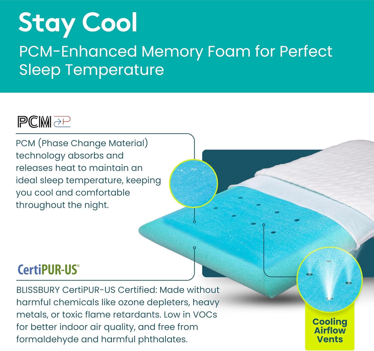BLISSBURY Cooling Memory Foam Pillow, 2.6 Inch Thin, for Stomach & Back Sleeper, Queen Size, Removable Cool-Tech Cover, CertiPUR-US Certified