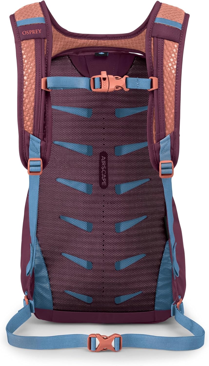 Osprey Daylite Commuter Backpack, Moody Burgundy