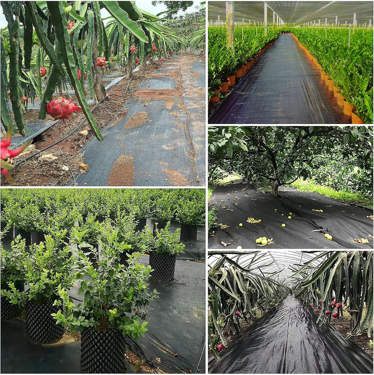 6x150ft Weed Barrier Fabric Landscape, Long-Term Use, Flexible, Breathable, Water Permeable, Grass Barrier Landscape Fabric Ground Cover Cloth for Garden Planting Weed Blocking