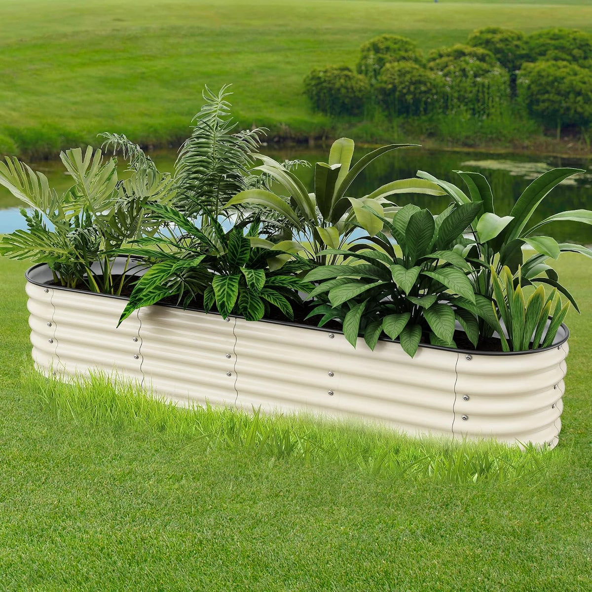 Raised Garden Beds 8 X 2 X 1.4Ft, Galvanized Raised Garden Beds Outdoor Planter Box for Vegetables, Gardening, Flowers, Fruits etc (Ivory)